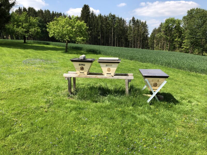 Bienenstand mit Oberträgerbeuten Model Bienenbarke