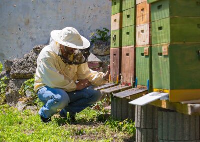 Bienenkästen mit fliegenden Bienen und Imker